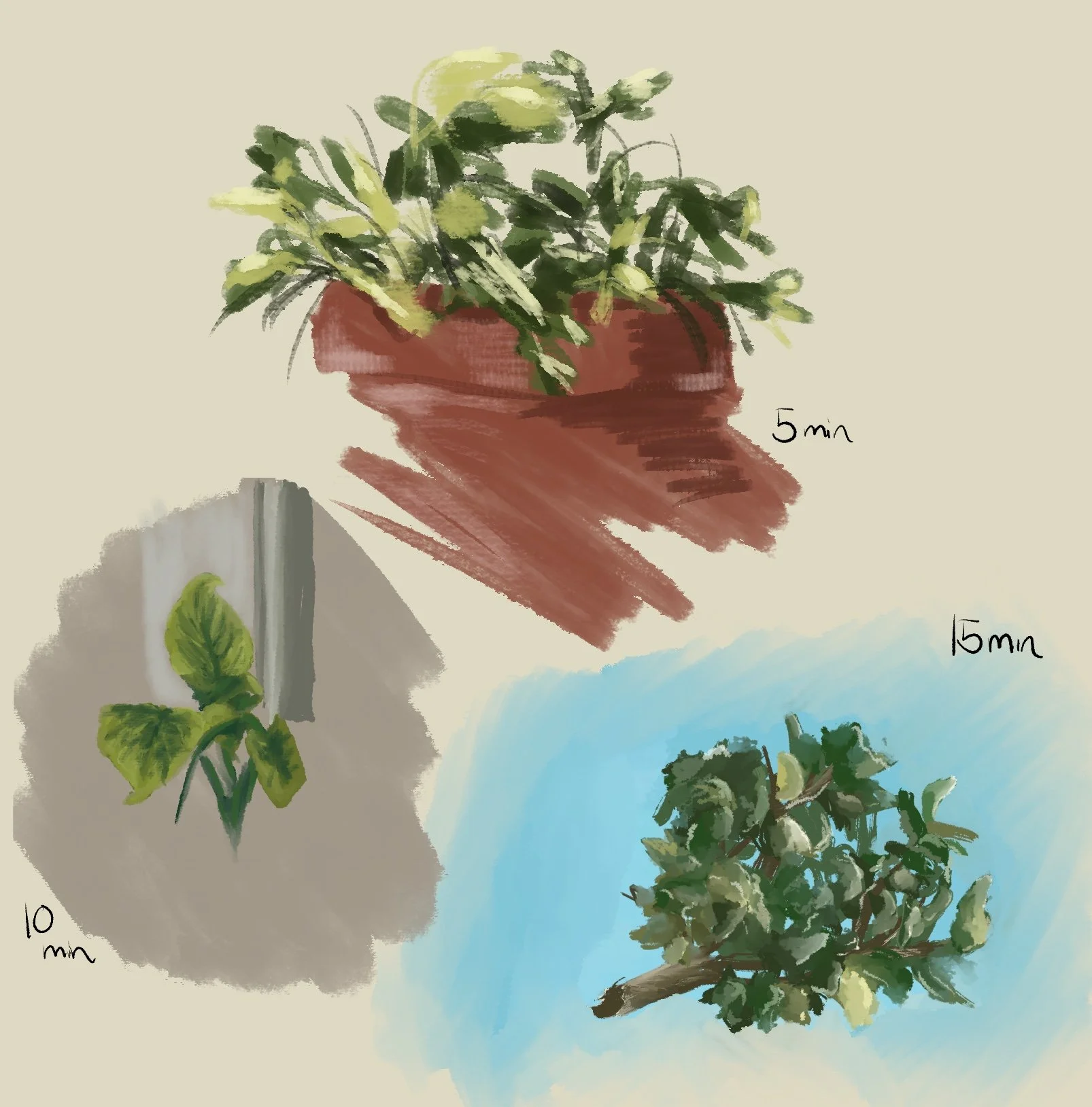plant studies