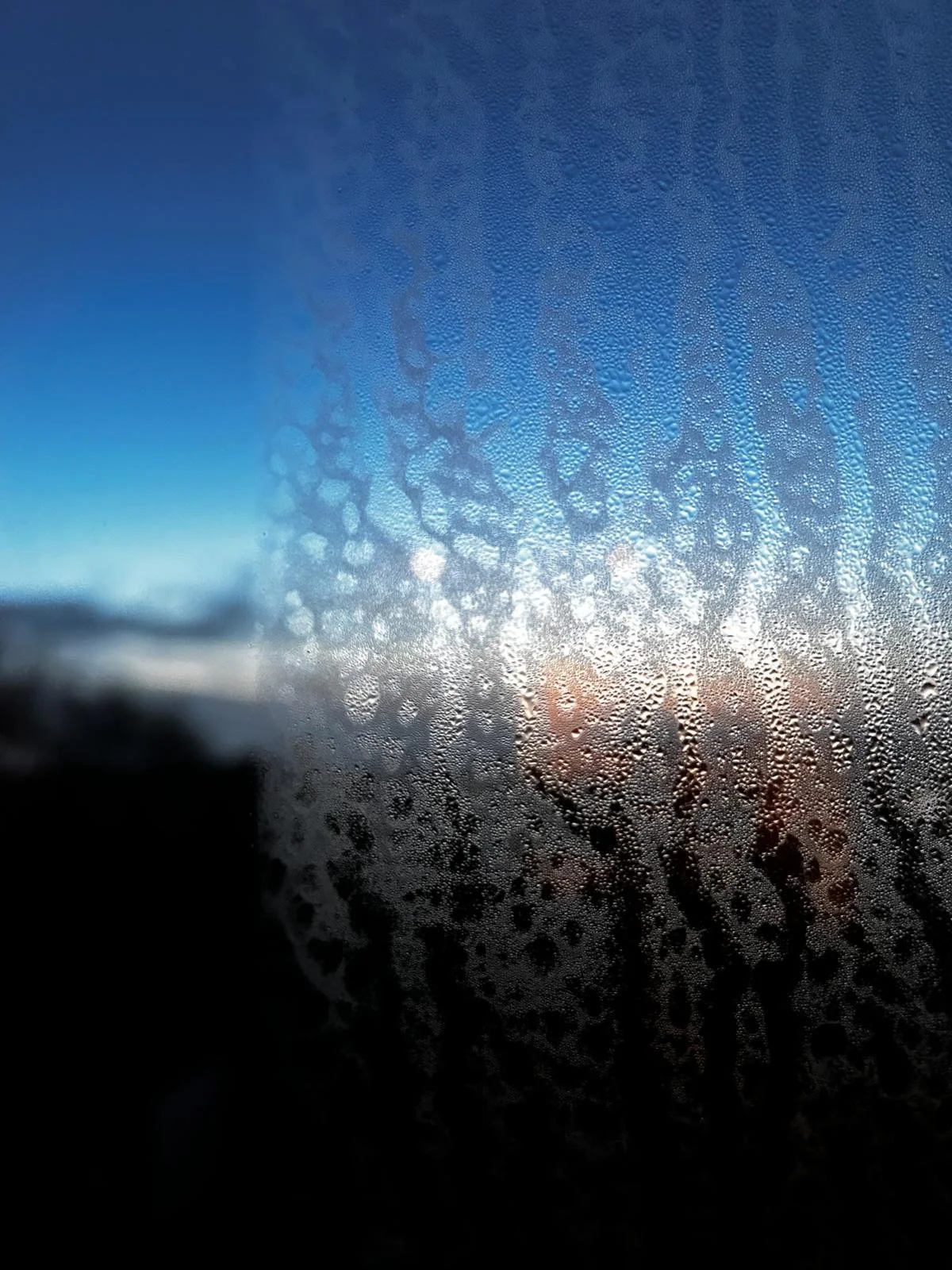 WhatsApp Image 2024-04-13 at 17.23.42 (2).jpeg