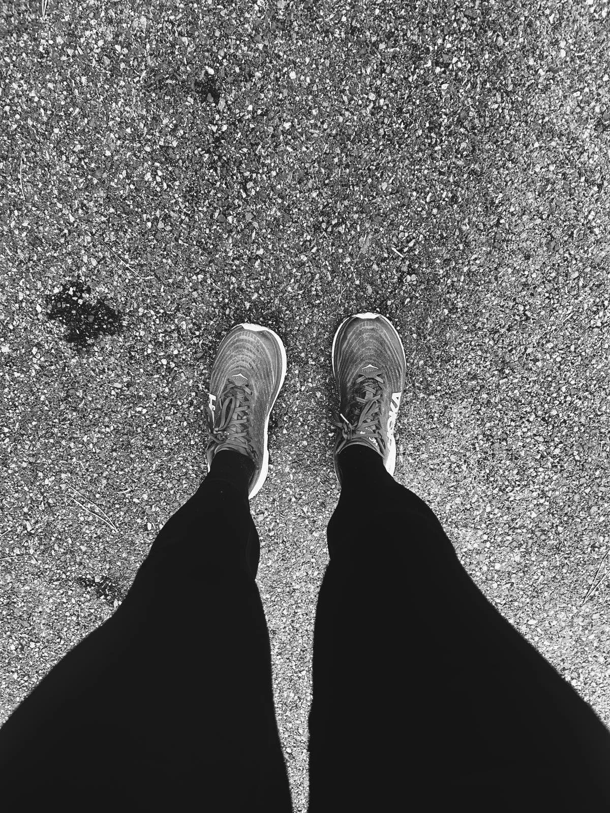 WhatsApp Image 2024-04-13 at 17.23.18.jpeg