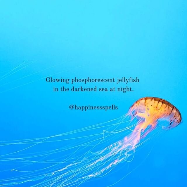 Discover this spell in Episode 75: This is What Brings You Joy in This Life. 🐟✨🎐 [This image shows jellyfish with the words &ldquo;Glowing phosphorescent jellyfish in the darkened sea at night.&rdquo; written above.]⁣
.⁣
.⁣
.⁣
.⁣
.⁣
#happinessspell