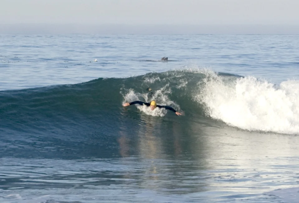 Fins out the Back