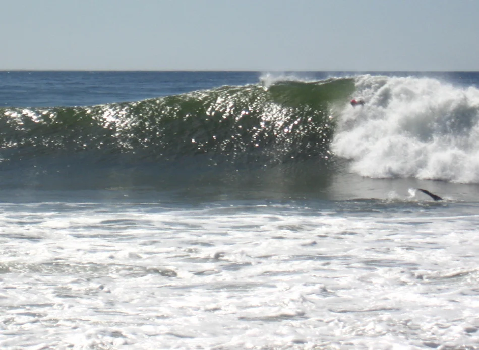 IMG_8997.jpg