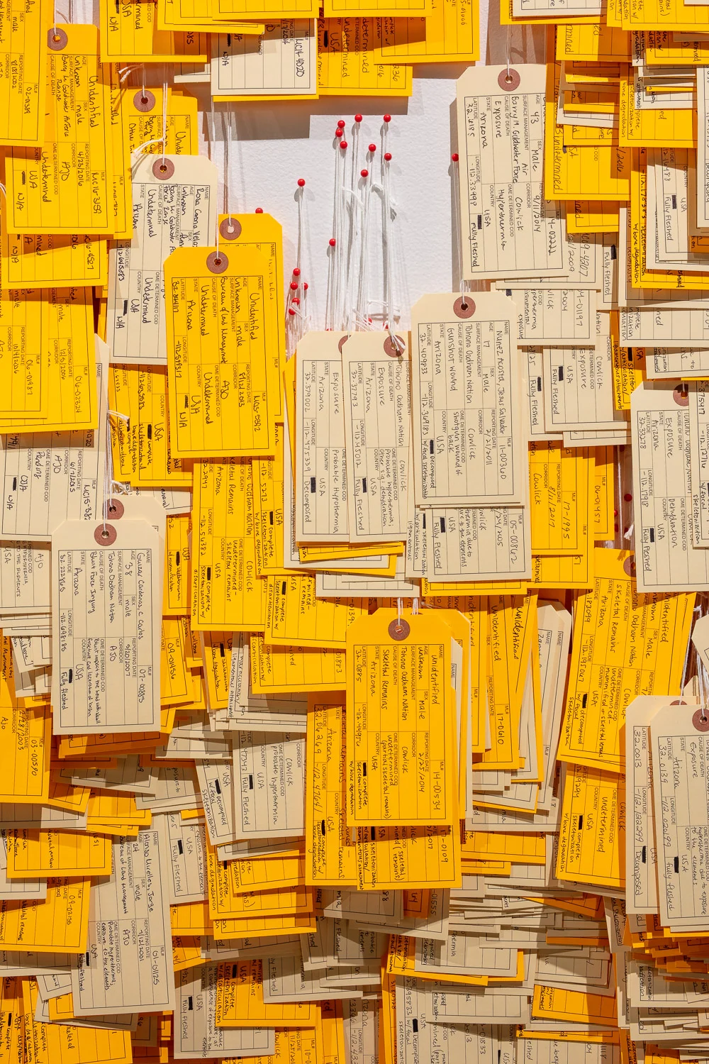 Installation — Undocumented Migration Project