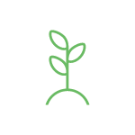 Beanstalk-Accountants-SMSF-Icon.png