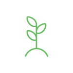 Beanstalk-Accountants-SMSF-Icon.png