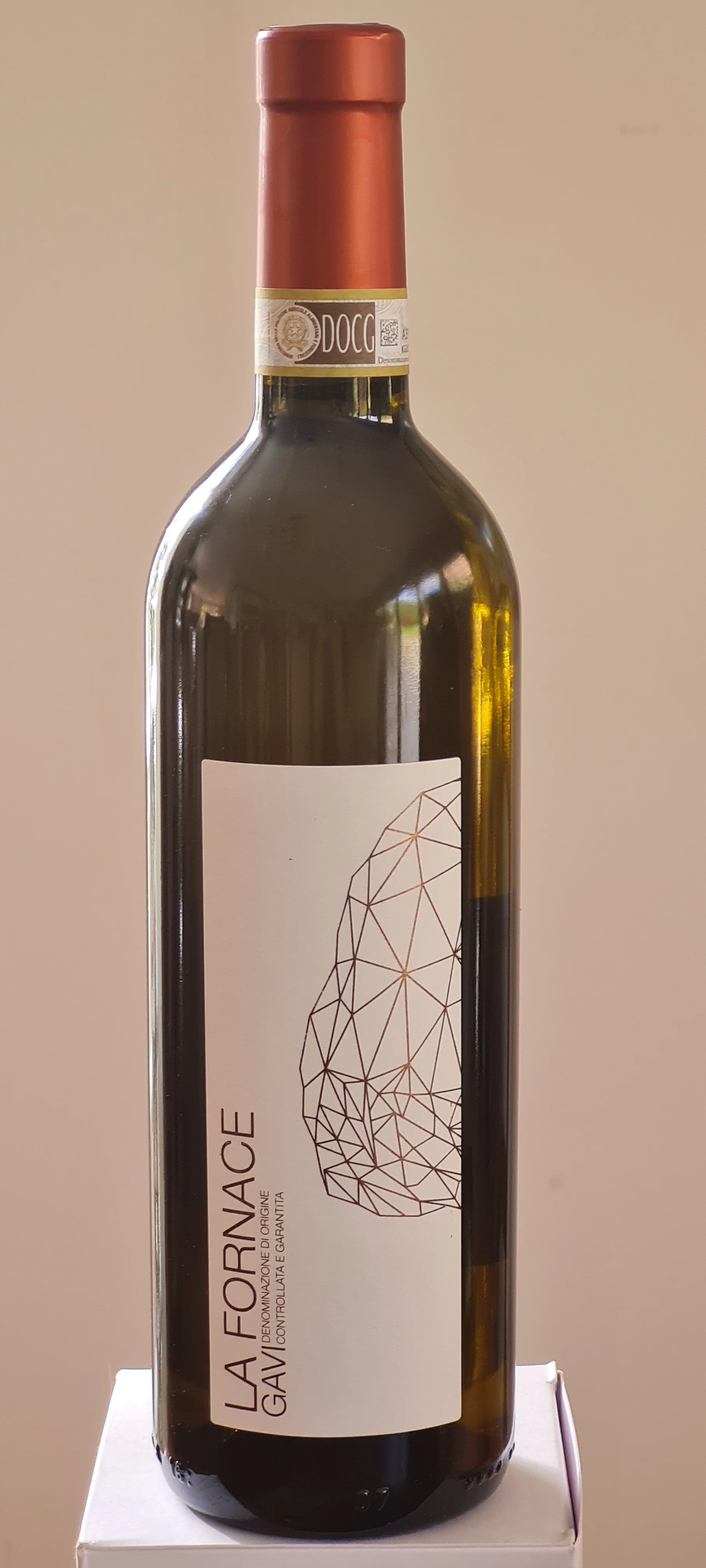 Gavi.jpg