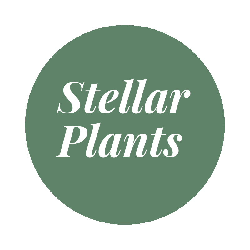 Stellar Plants