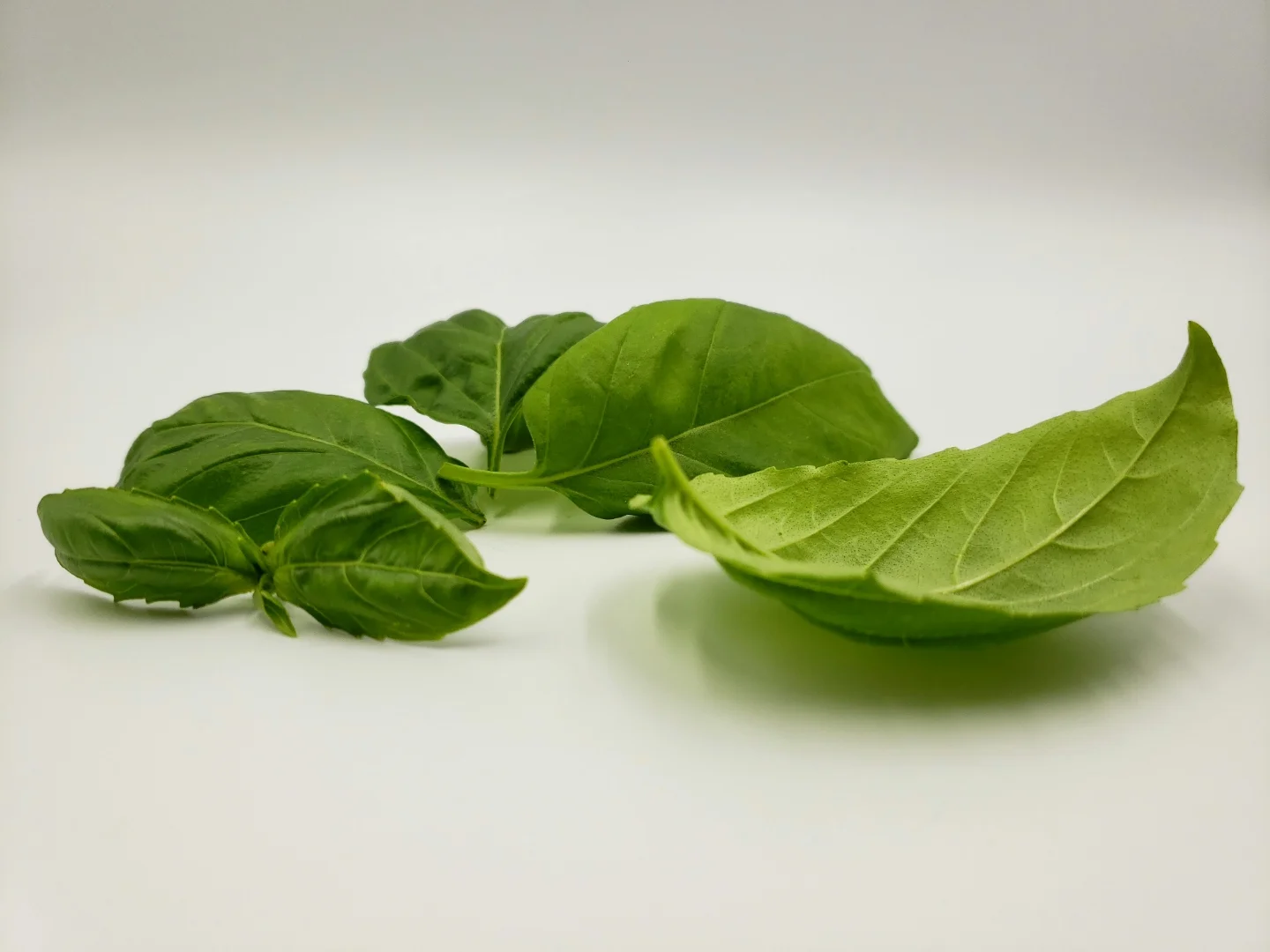 Pesticide-Free, non-GMO Basil Leaves