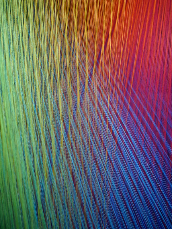 _W_PLEXUS-24_detail_PA311448.jpg