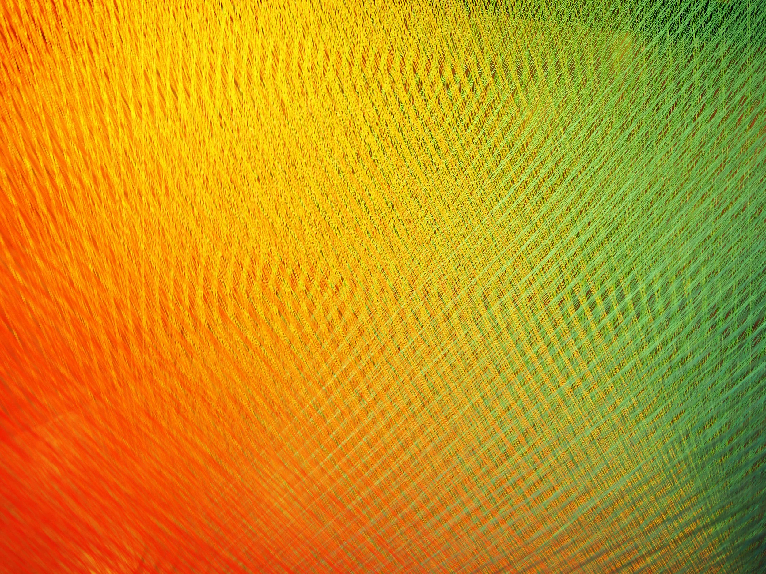 PA301367.jpg