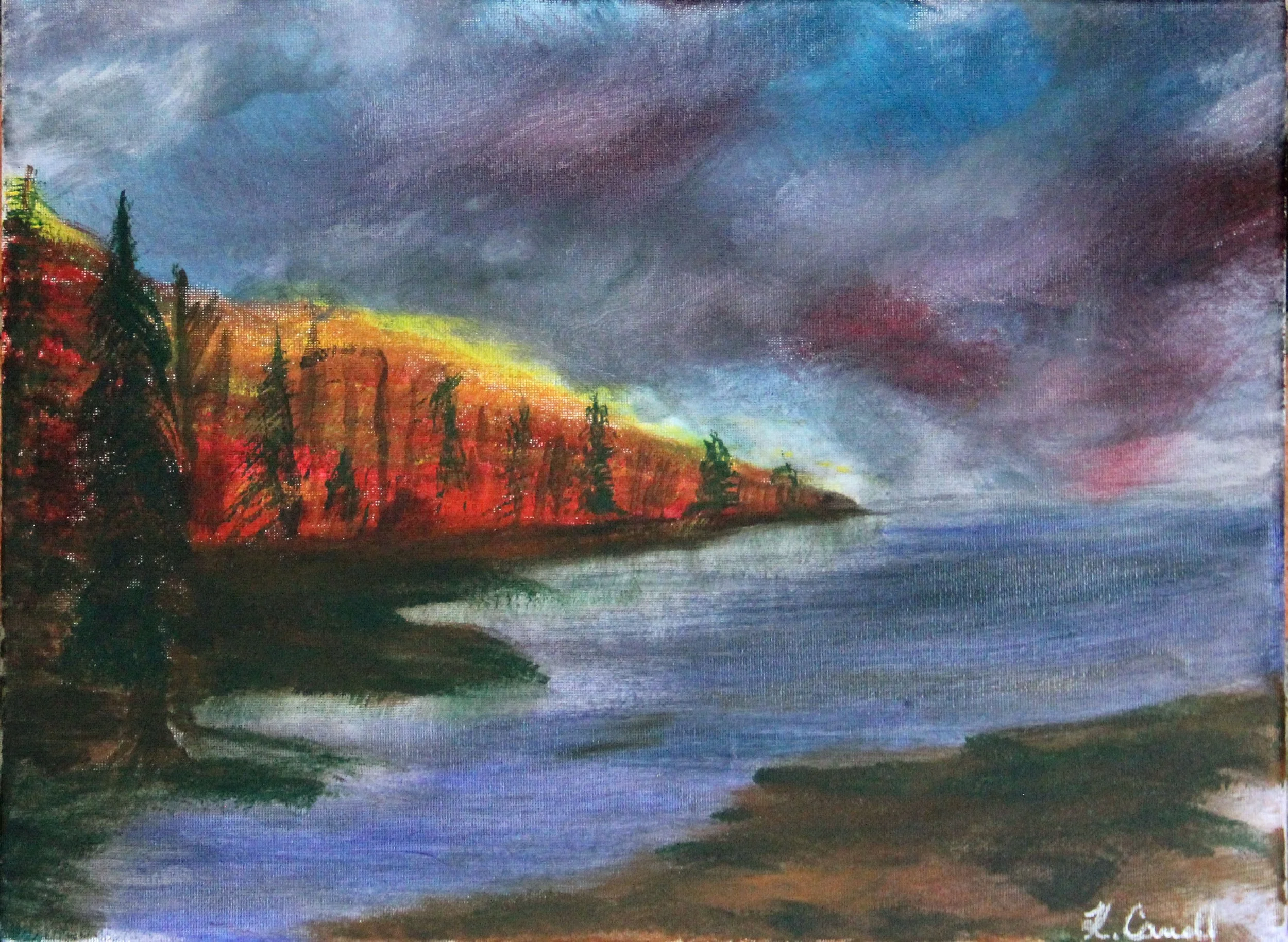 Forrest Fire