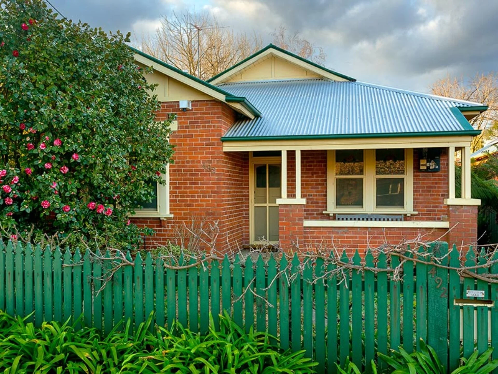 Pet Friendly Properties — Albury Wodonga Apartments