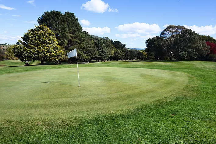 Images via Braidwood Servicemens Club website