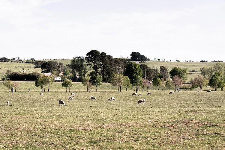 Mona Farm land braidwood rural