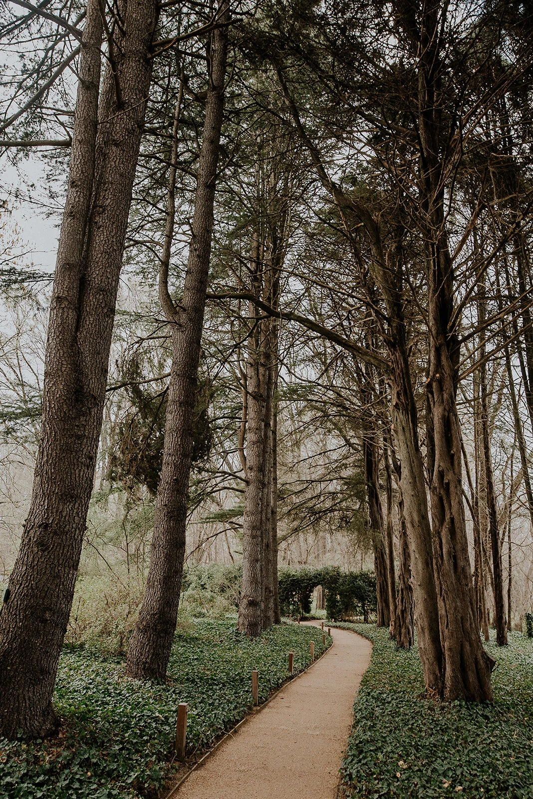 Mona Farm Braidwood Wedding Venue Reception Ceremony