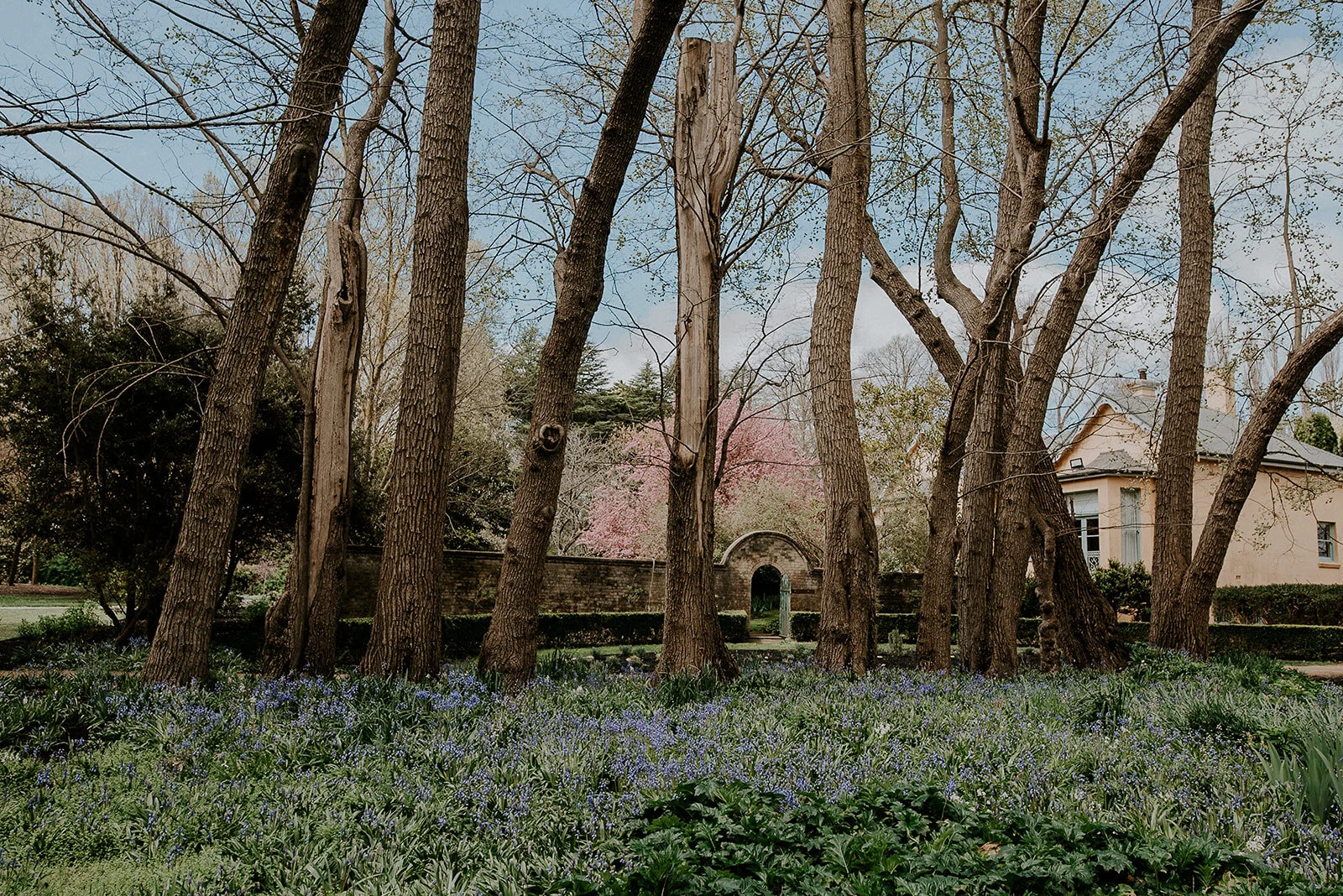 Mona Farm Braidwood Wedding Venue Reception Ceremony