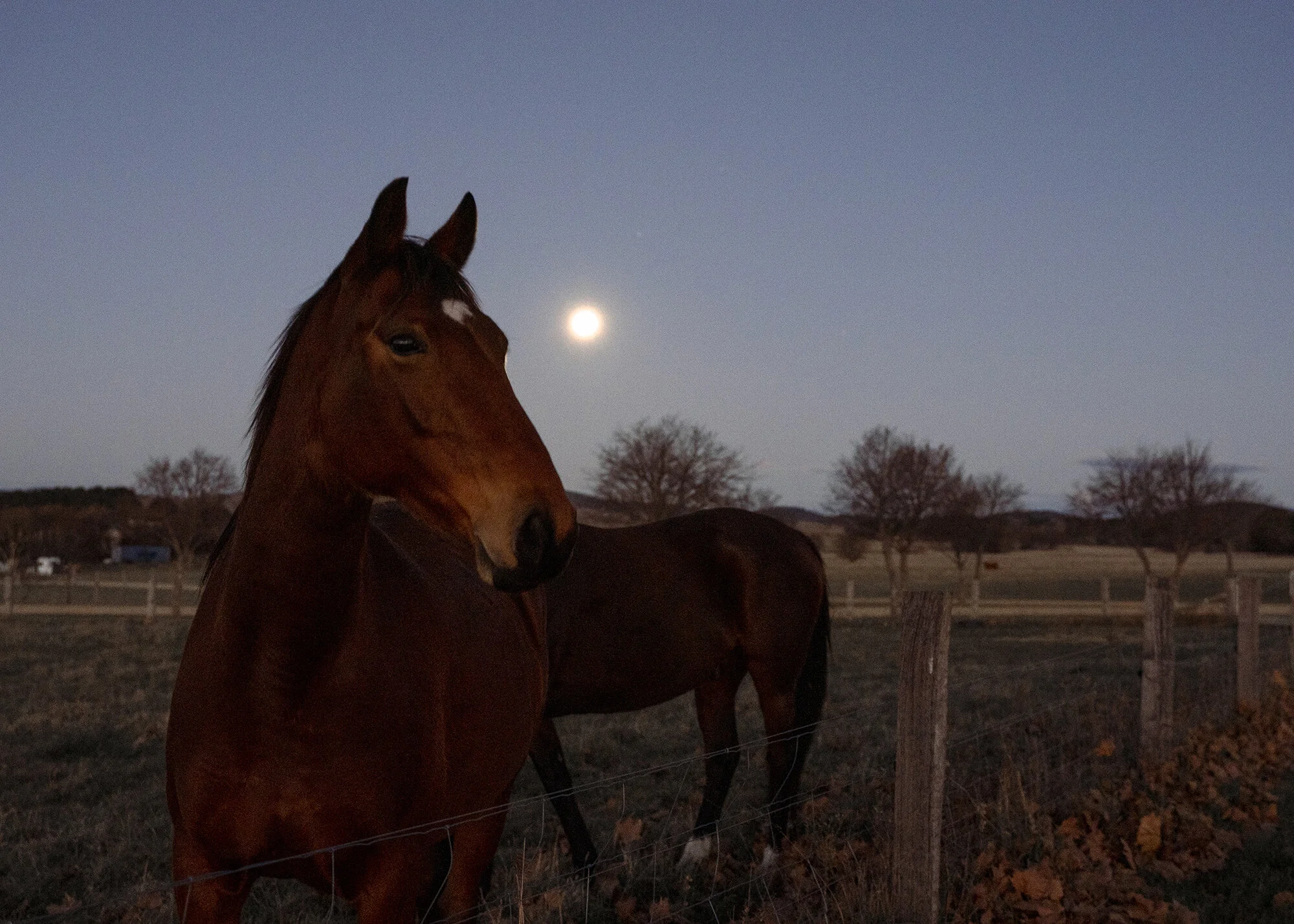 Through the lens of Mattia Panunzio