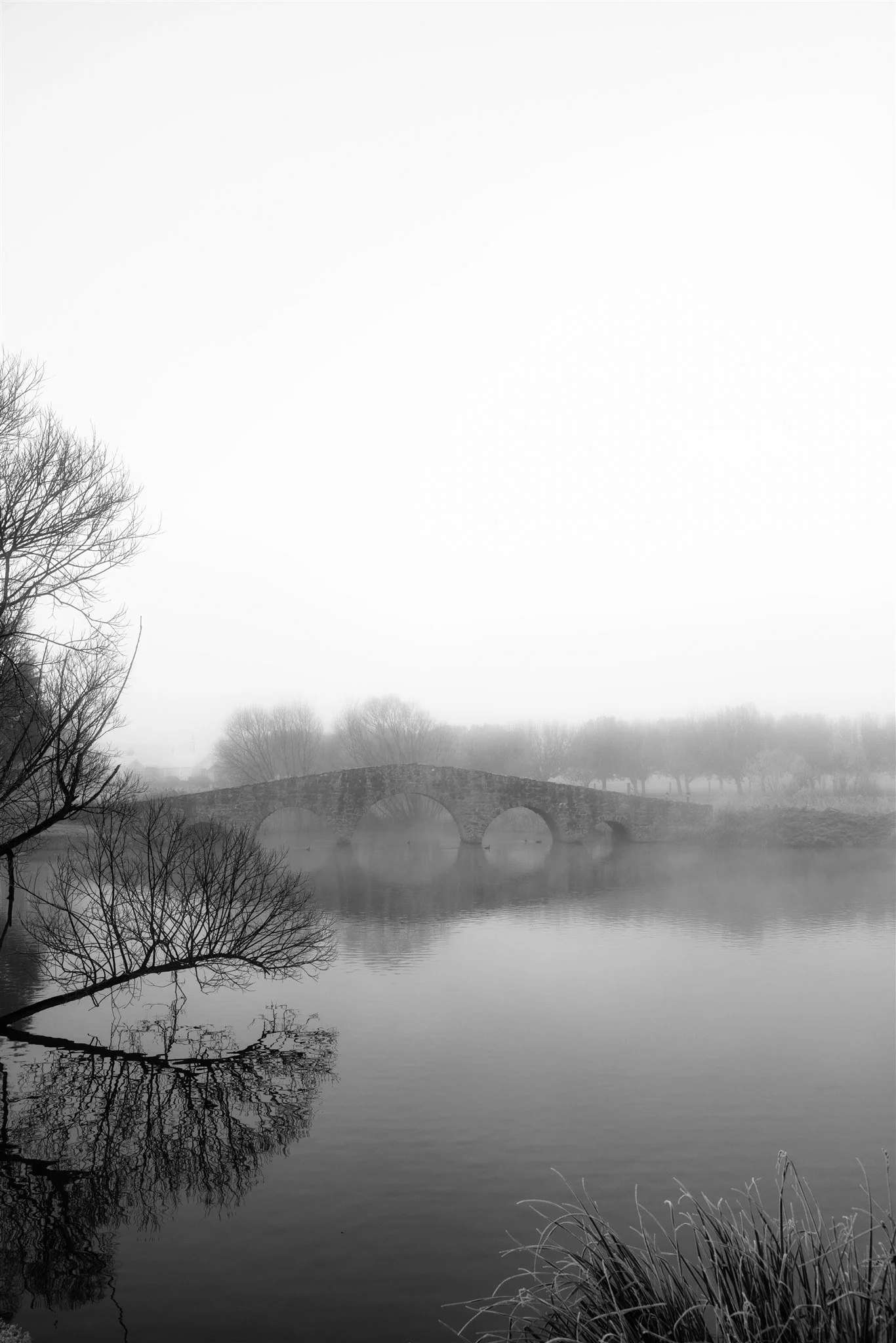 Mona-Farm-Winter-by-Corinna-&-Dylan_024().jpg