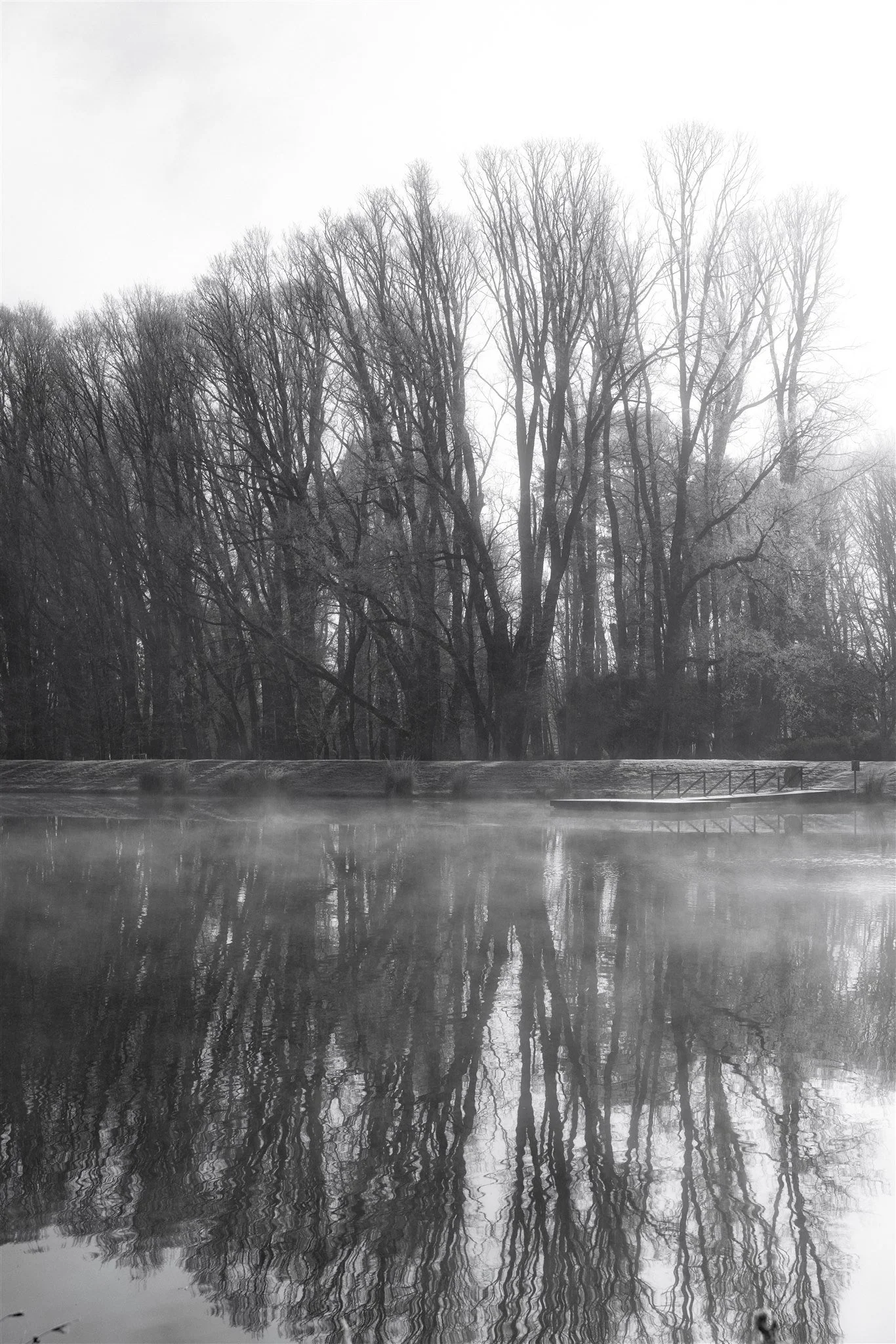 Mona-Farm-Winter-by-Corinna-&-Dylan_069().jpg