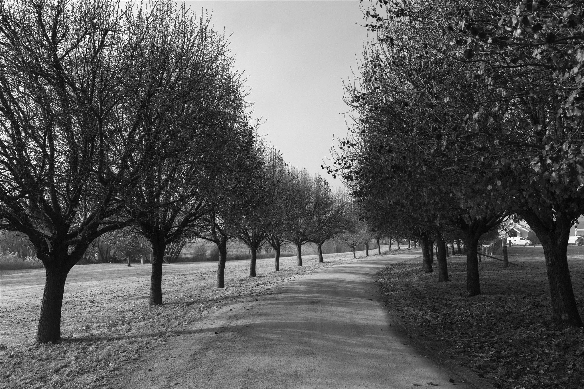 Mona-Farm-Winter-by-Corinna-&-Dylan_070(1946).jpg