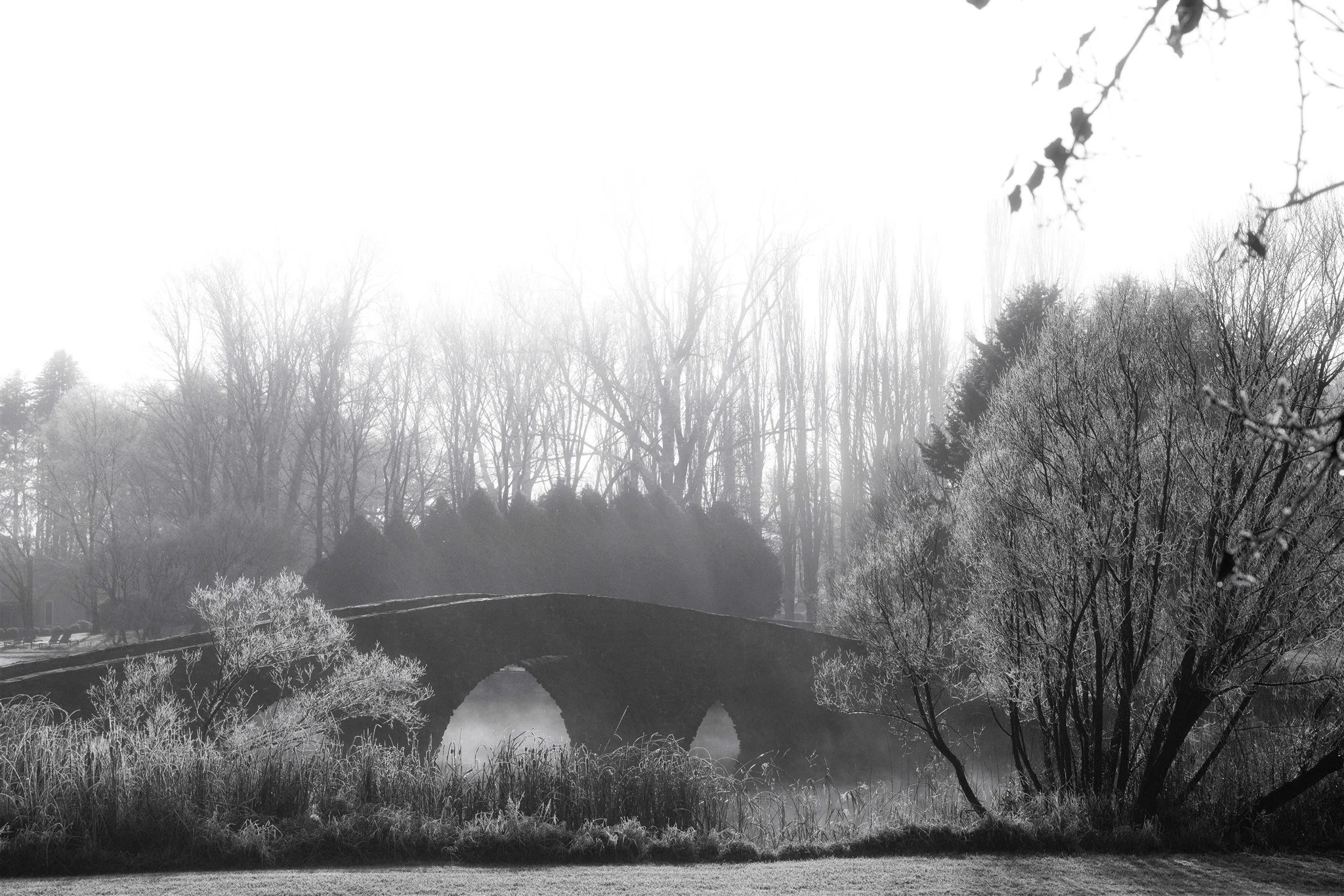Mona-Farm-Winter-by-Corinna-&-Dylan_071().jpg