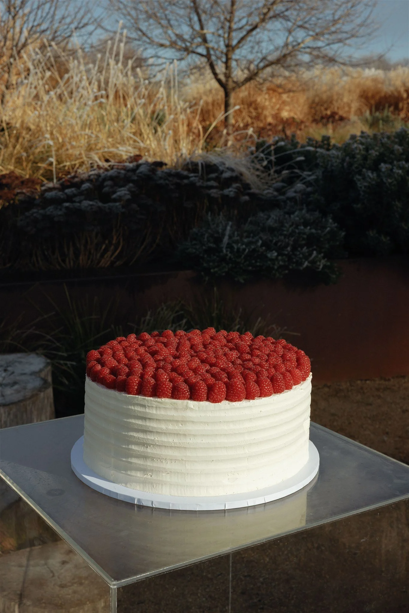 Mona-Farm-Cakes-by-Corinna-&-Dylan_028(2094).jpg