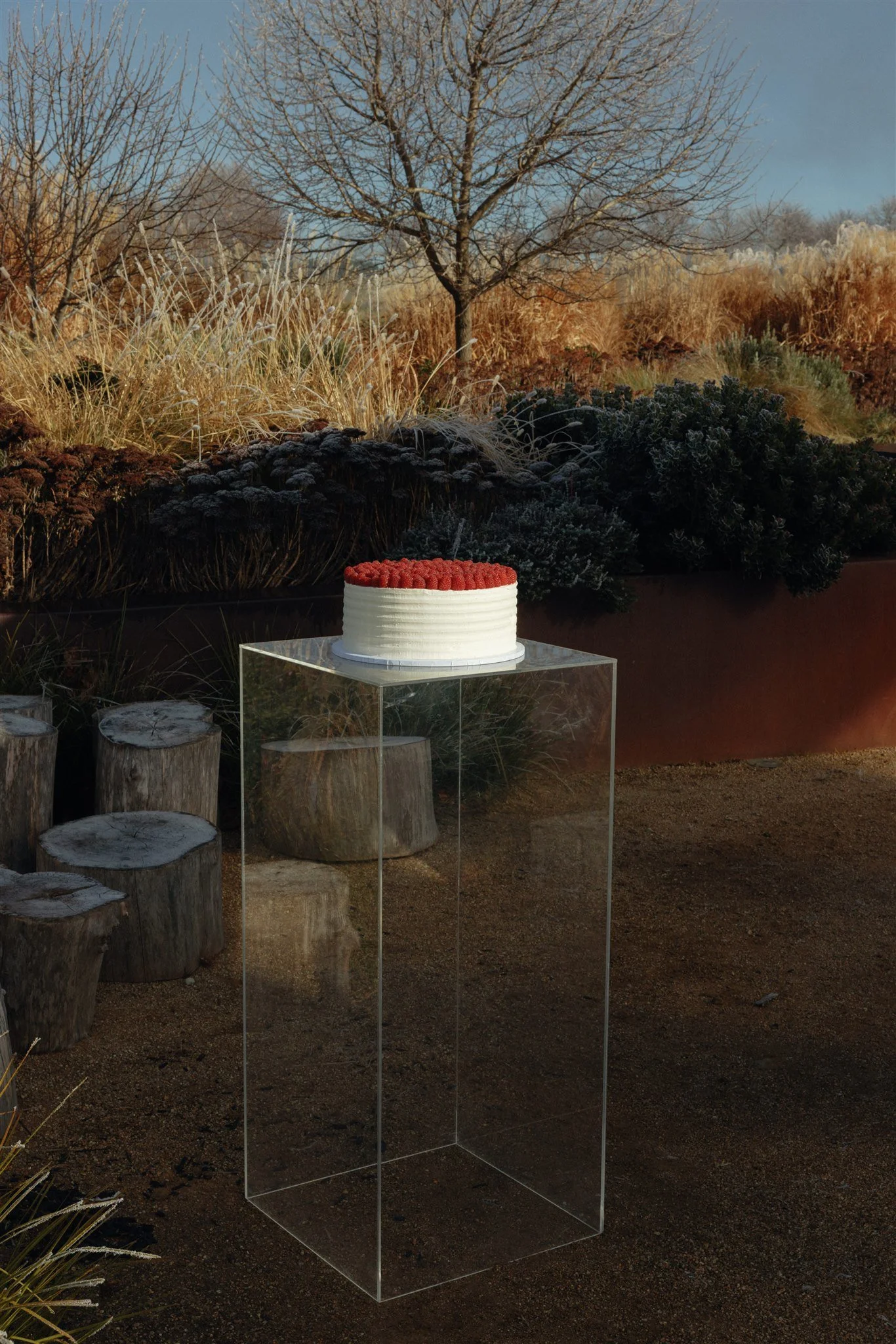 Cake Plinths