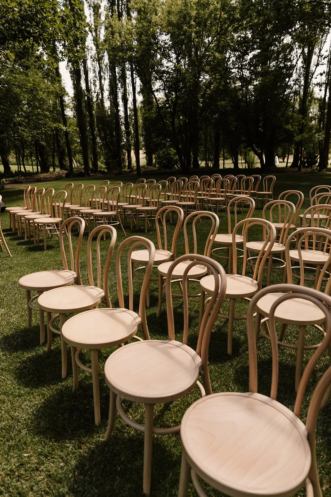 Blonde Bentwood Chairs