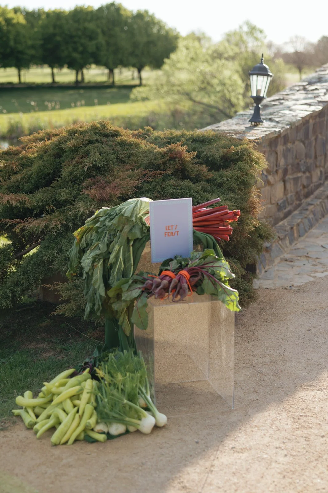 JR.WP-(1 of 2002).jpg