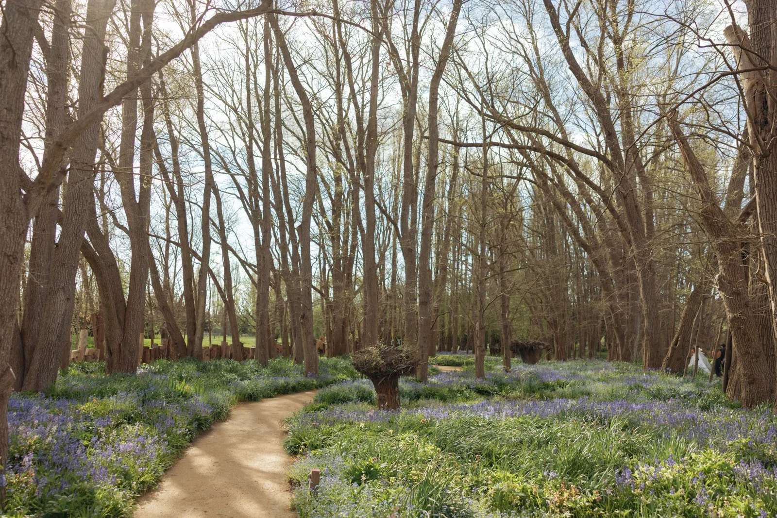 JR.WP-(449 of 2002).jpg