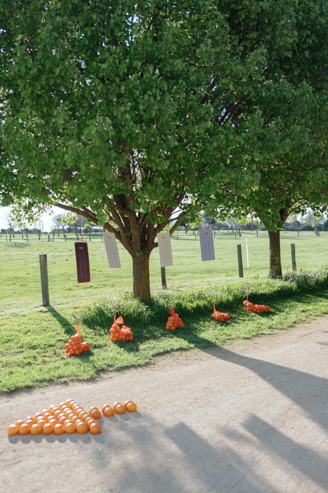 JR.WP-(1138 of 2002).jpg