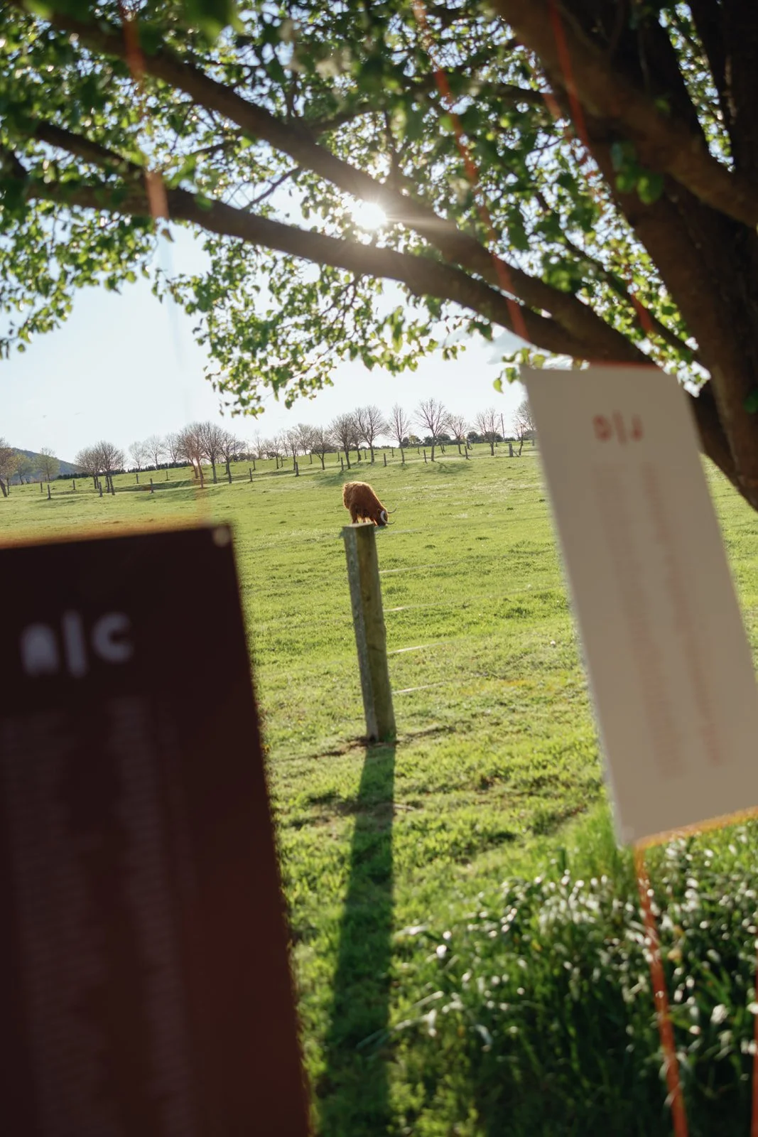 JR.WP-(1143 of 2002).jpg