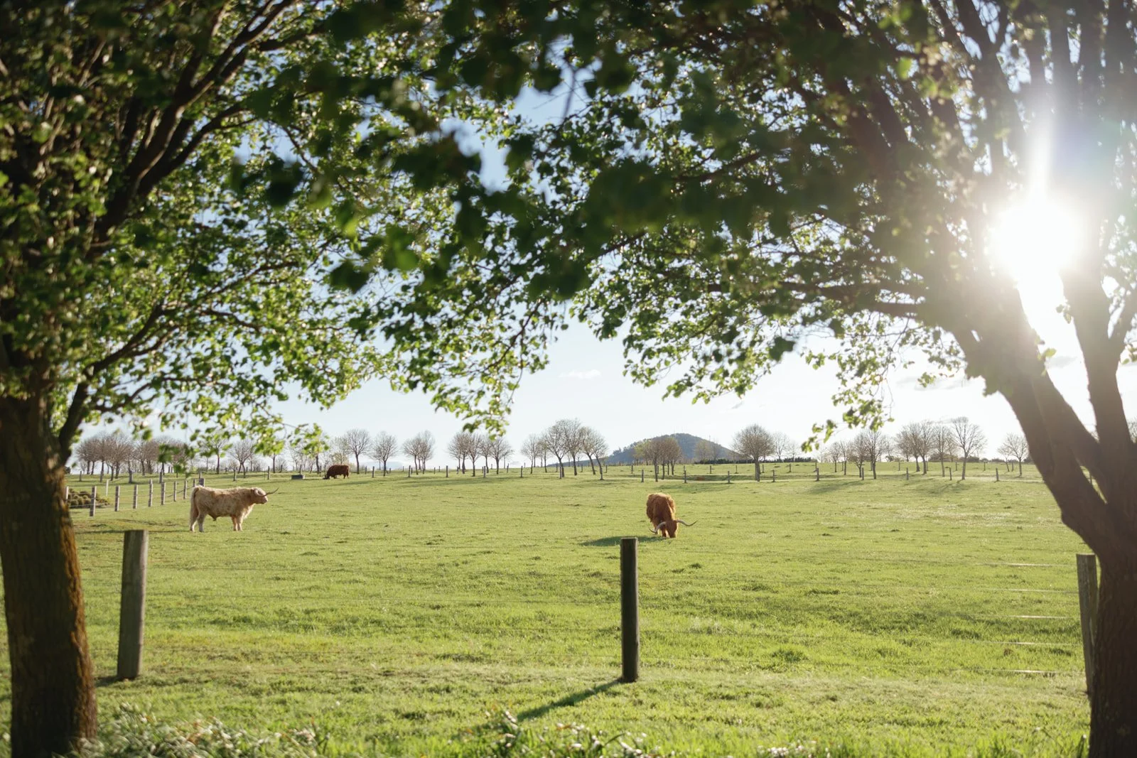 JR.WP-(1147 of 2002).jpg