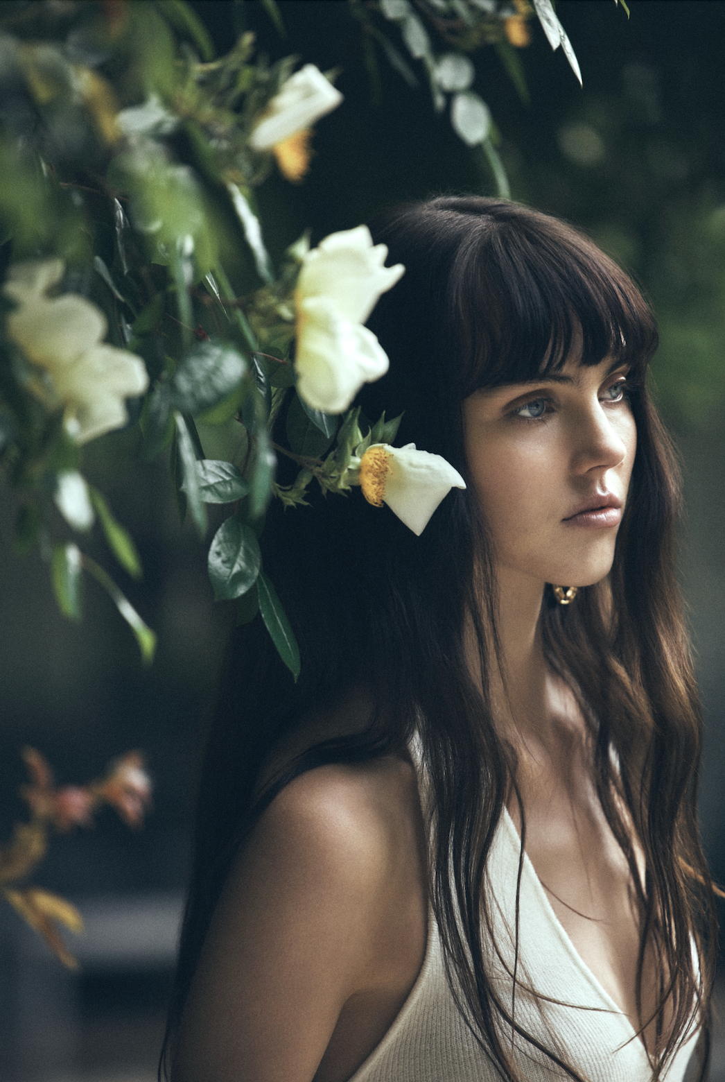 Screenshot 2026-02-19 at 10.08.39 am.png