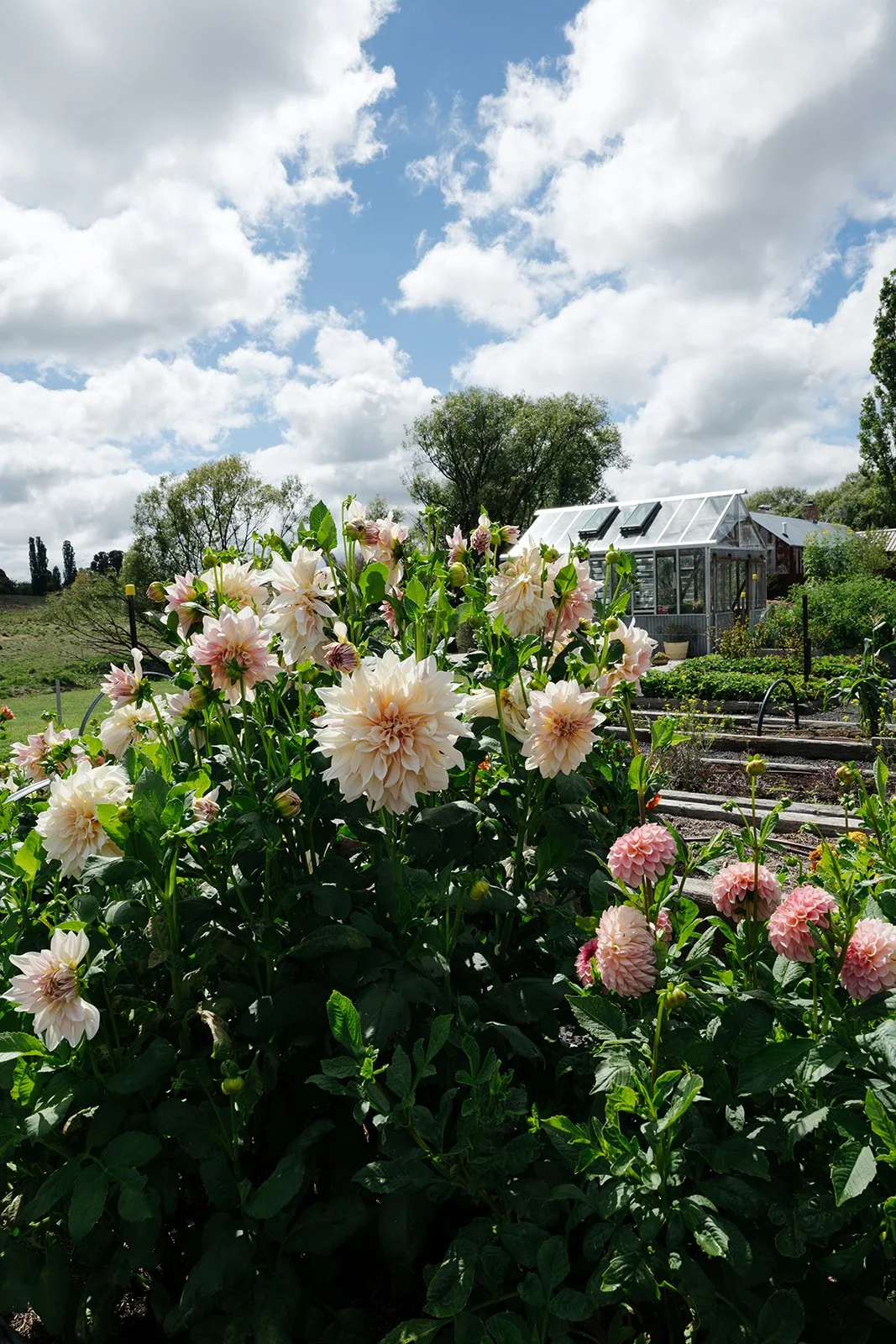 KLD Photography - Mona Farm23.jpg