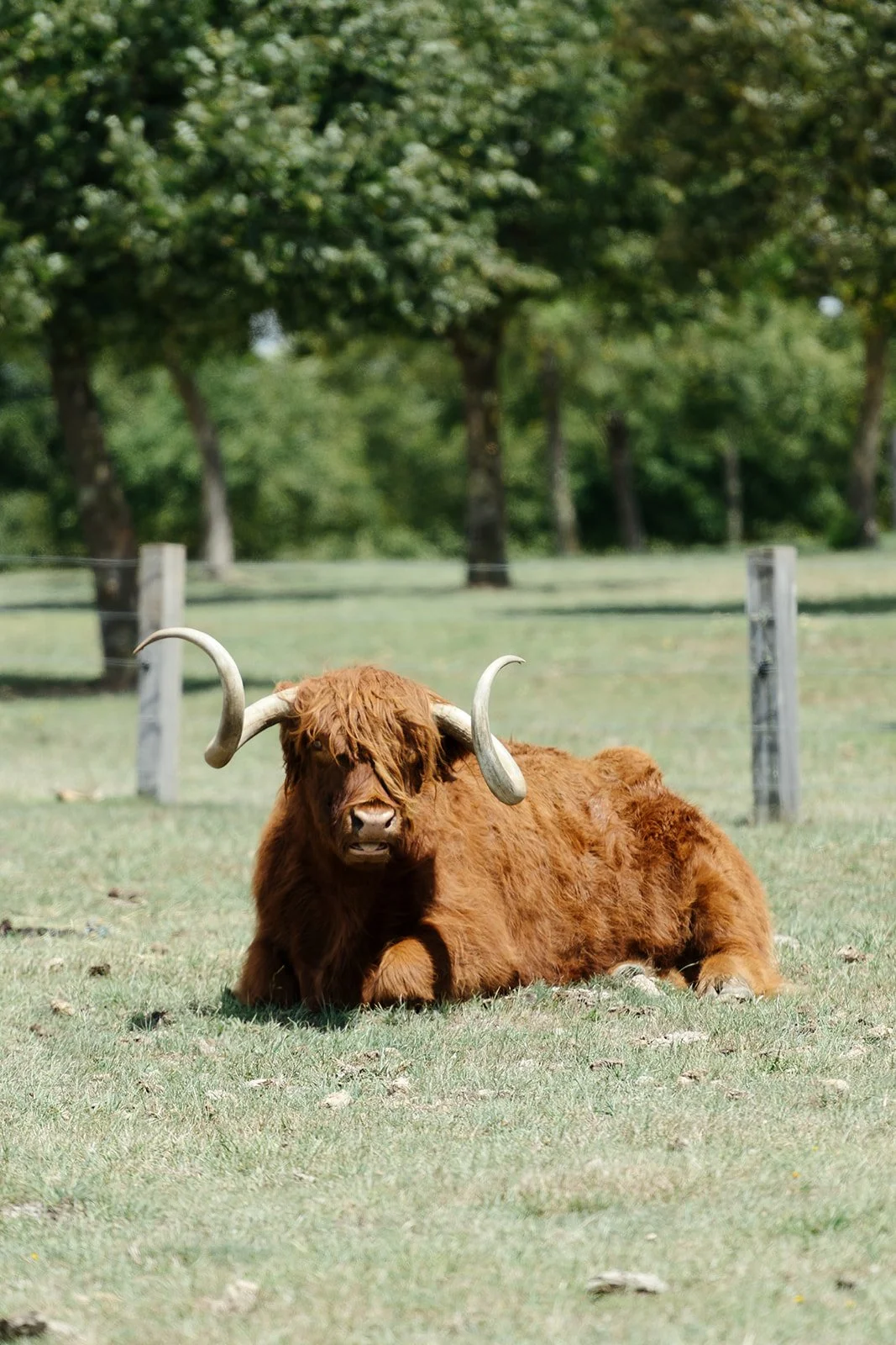 KLD Photography - Mona Farm225.jpg