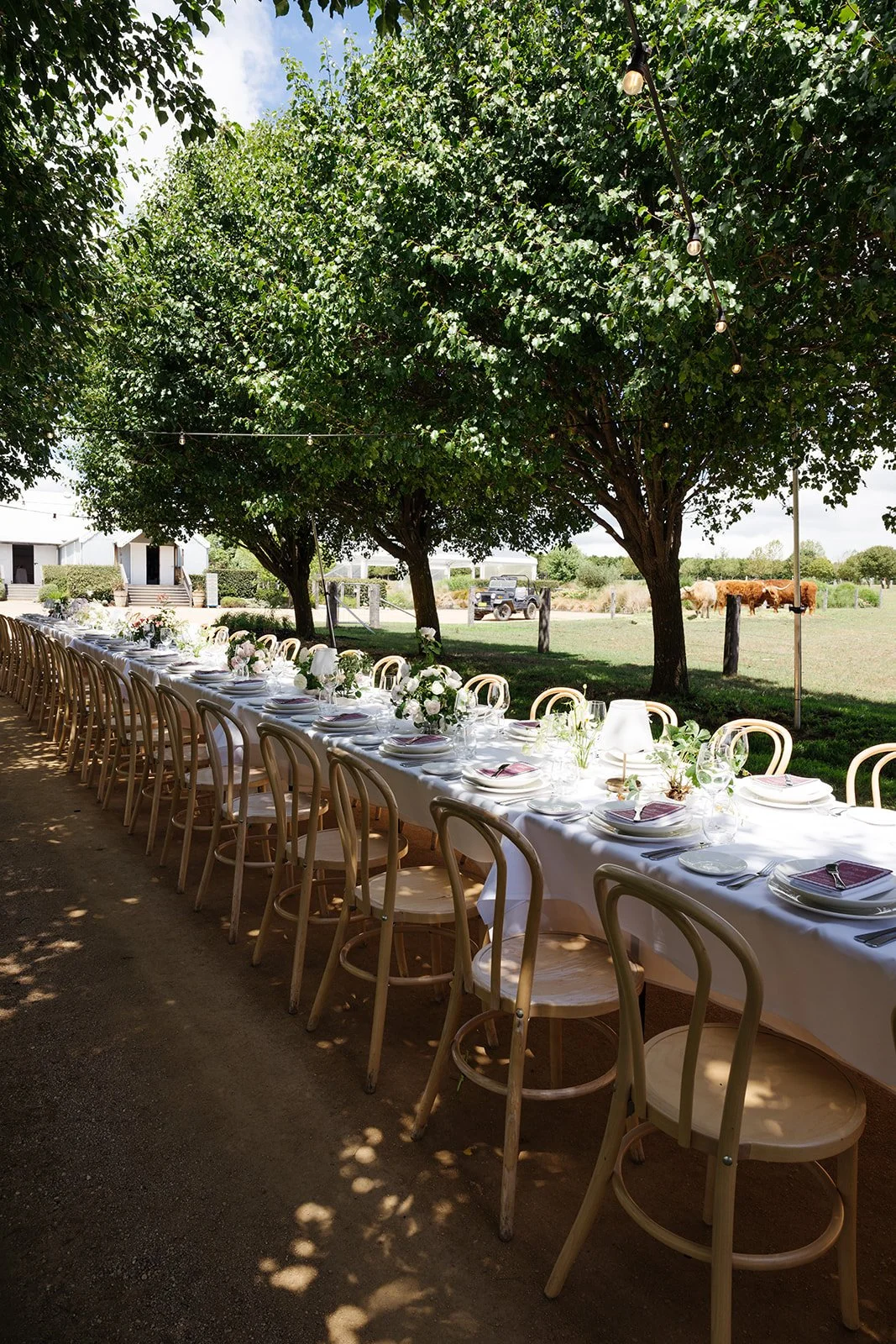 KLD Photography - Mona Farm275.jpg