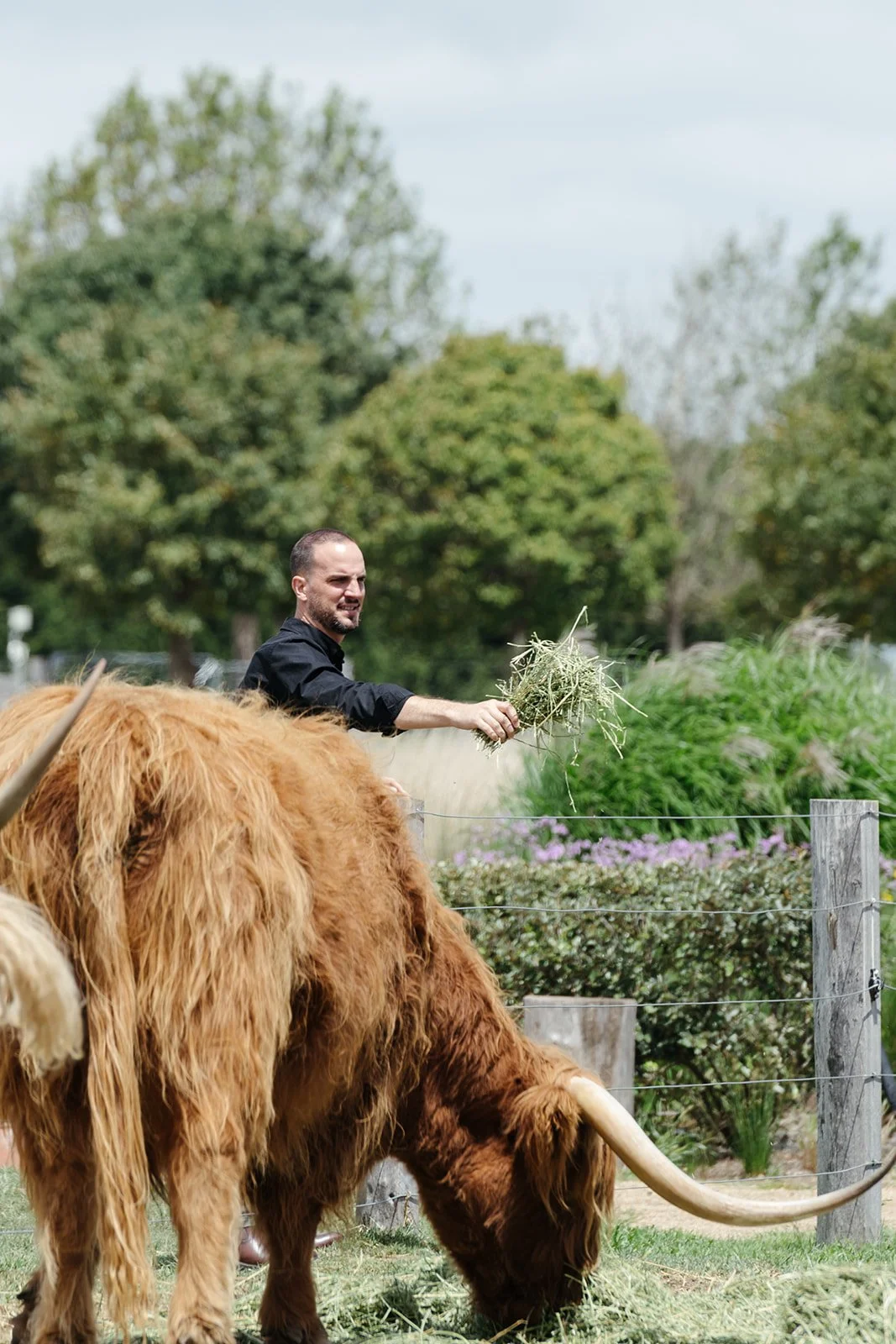KLD Photography - Mona Farm271.jpg