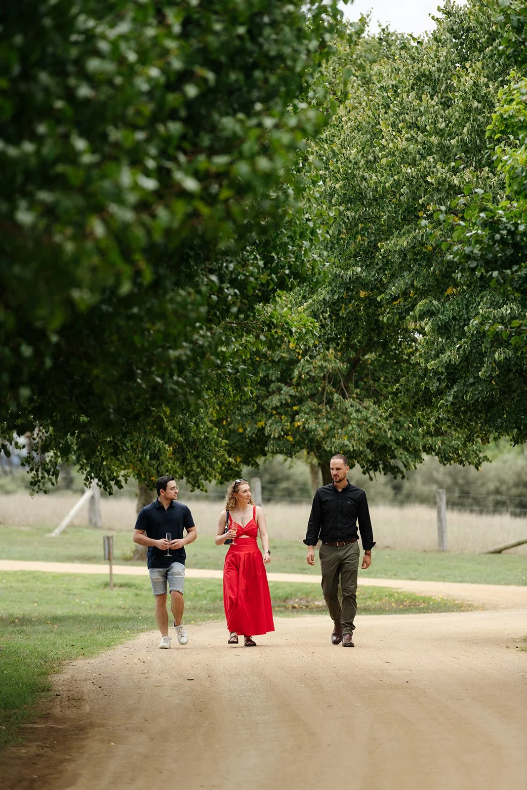 Looking back at our Summer Open Day | Plus, we're hosting another this June!