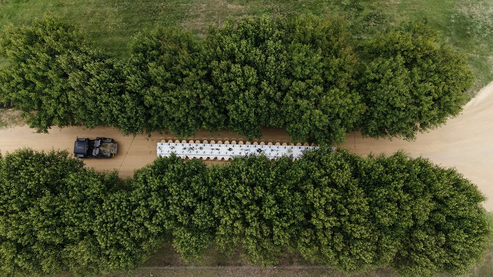 KLD Photography - Mona Farm19.jpg
