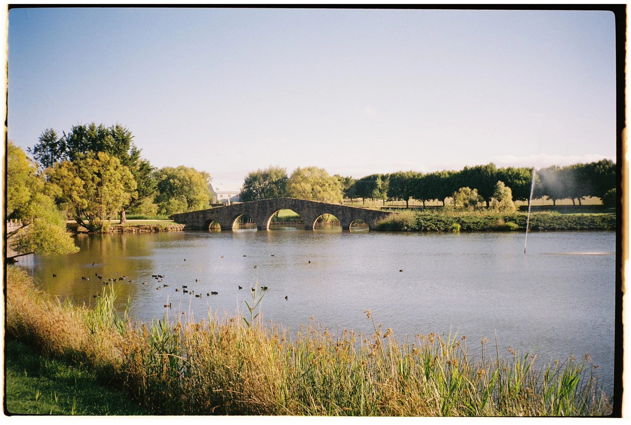 Film-34.jpg