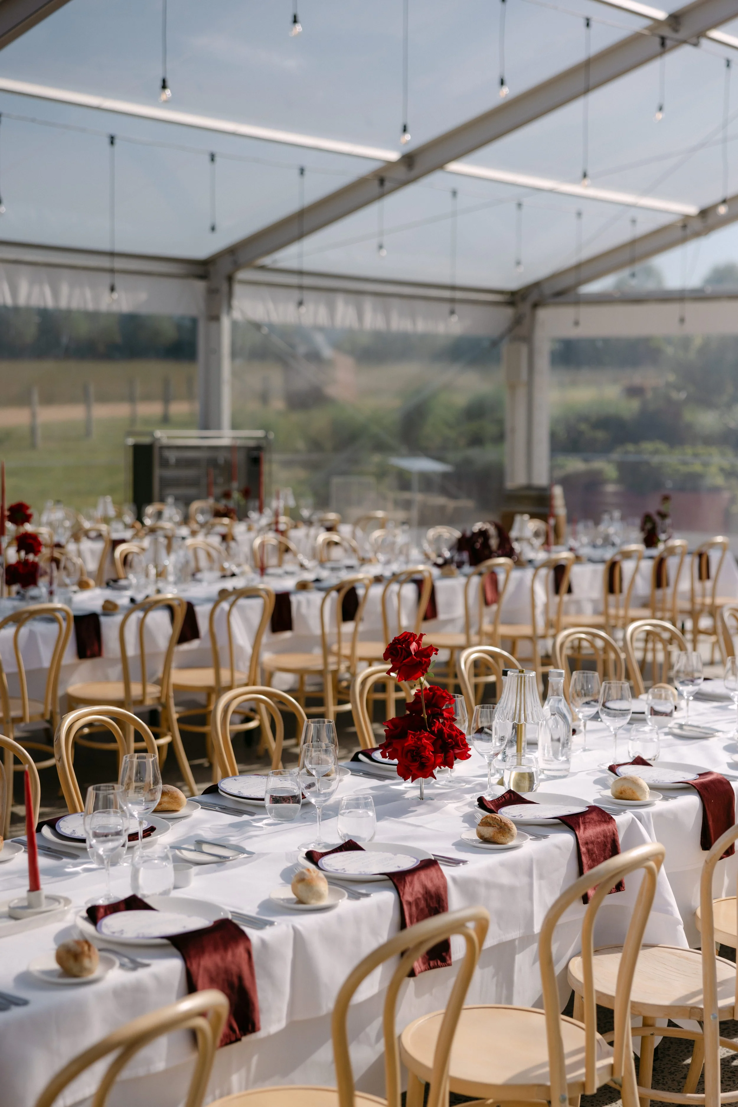 Lani&Matt-MonaFarm-Wedding-BlaiseBellPhotography-556.jpg
