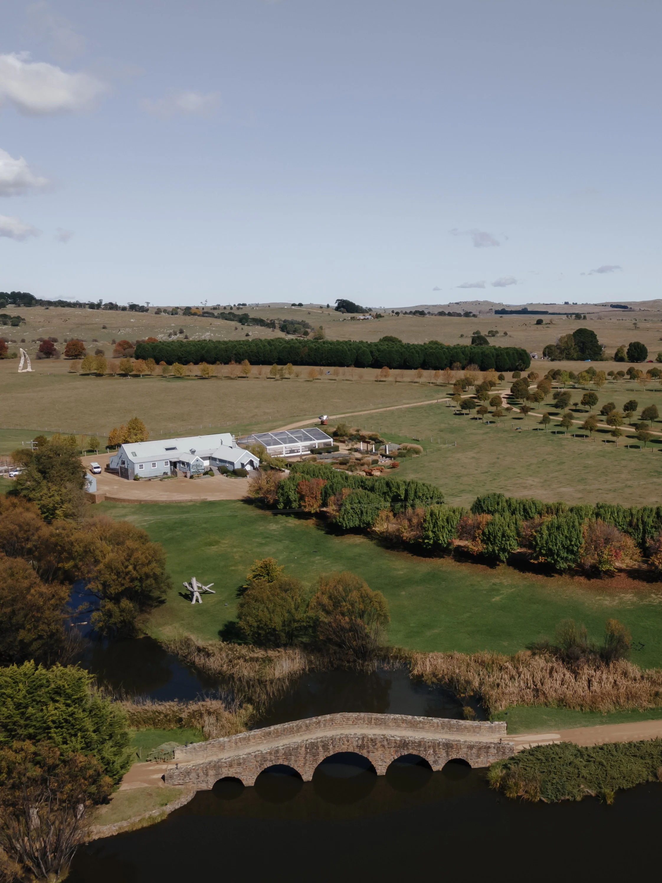 davidcampbellimagerySophia & Lachlan Wedding_02.05.25-3.jpg
