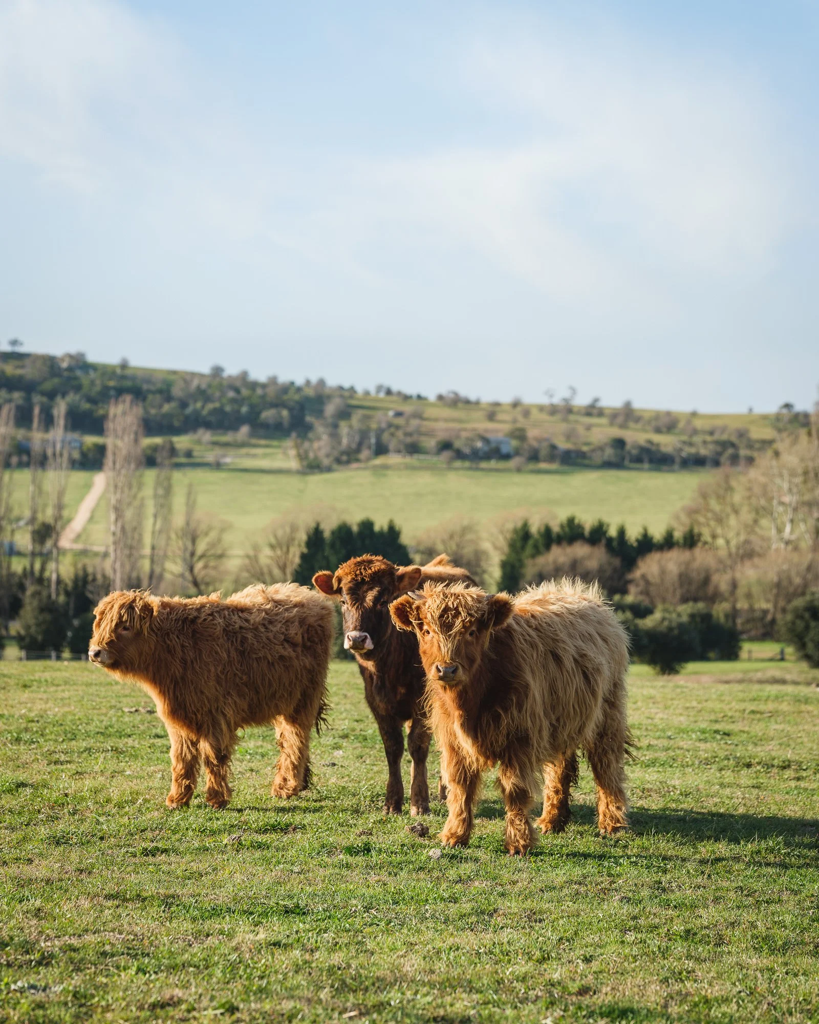 Kids Eat Free | Farm Adventures Included