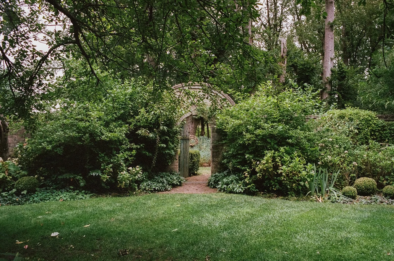 HNfilmhires-191.jpg
