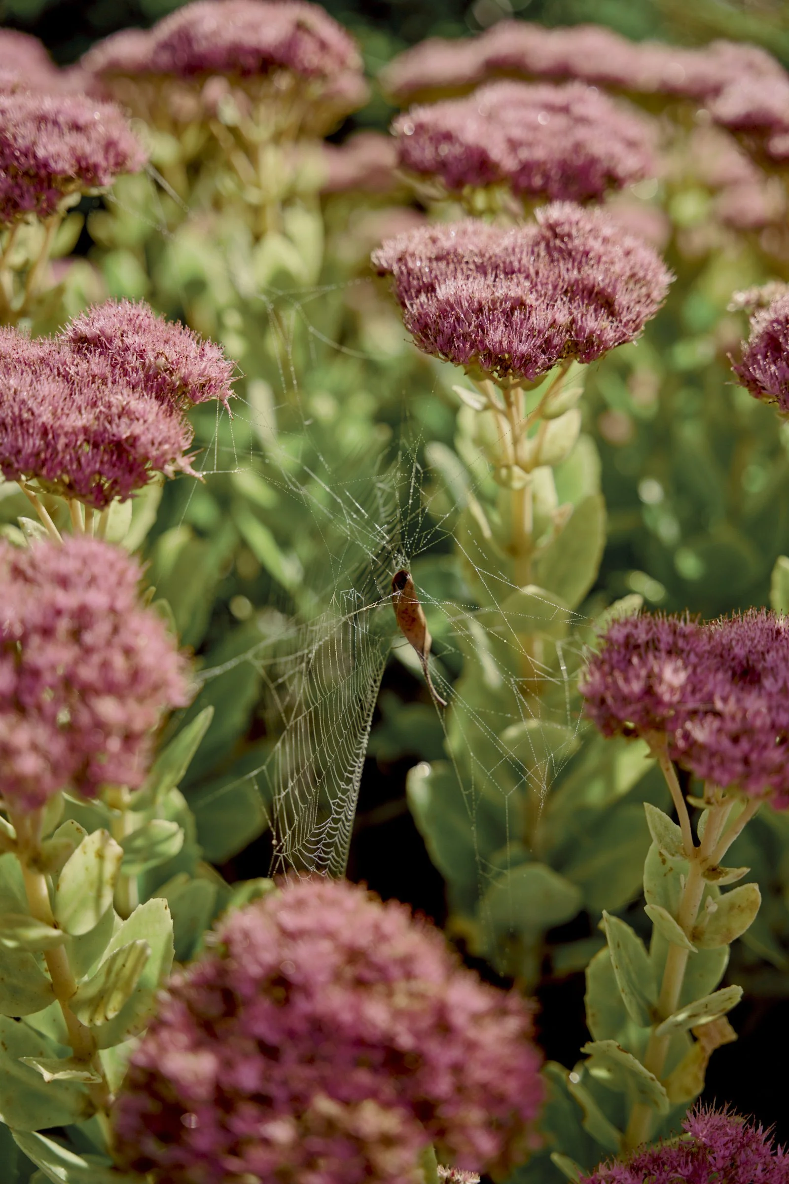 250312_MonaFarm_008.jpg