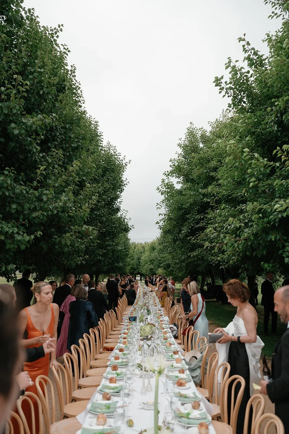 L&A_1064.webp