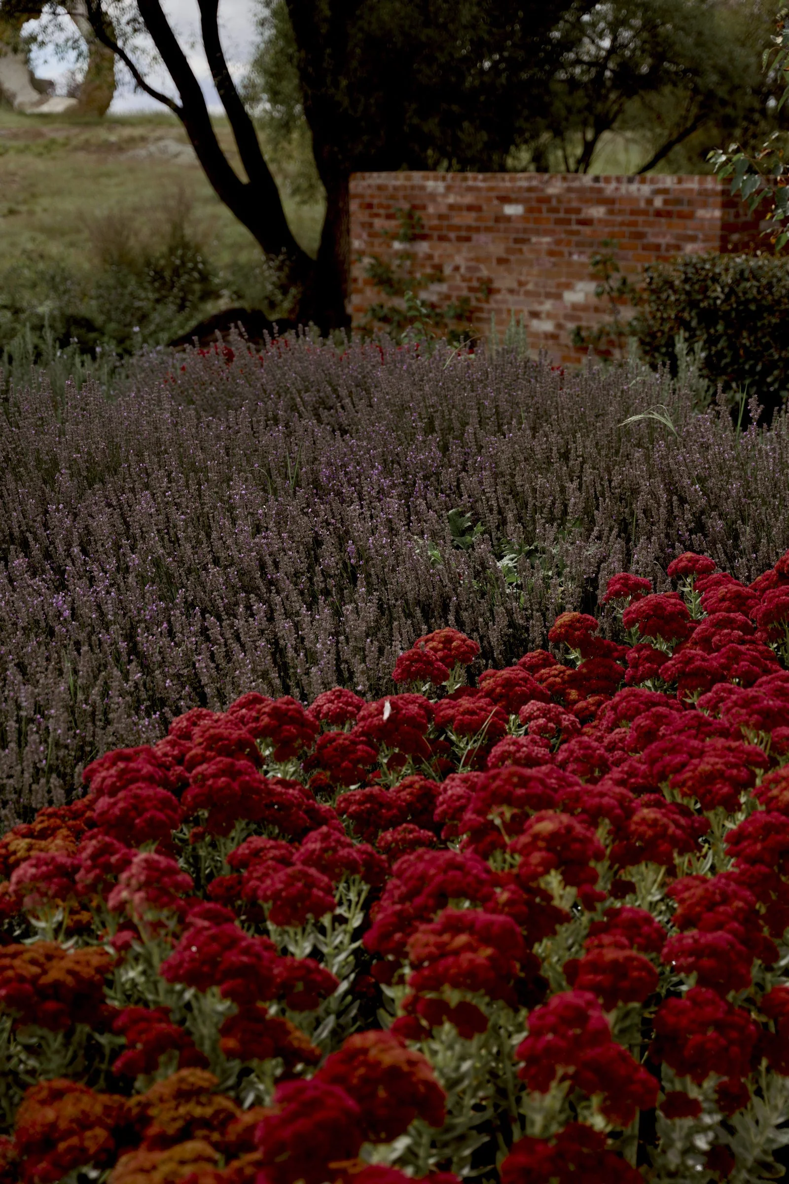 250312_MonaFarm_045.jpg