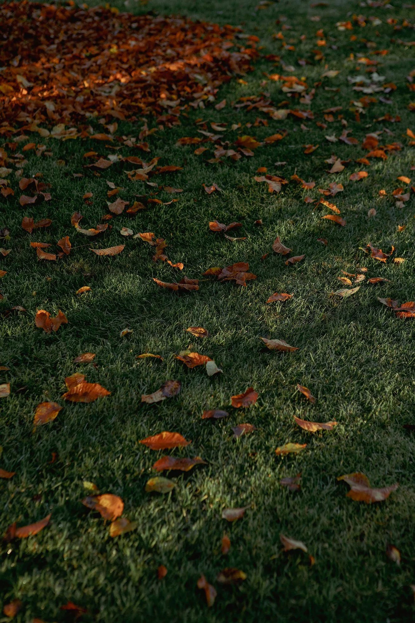 PAM09901.jpg