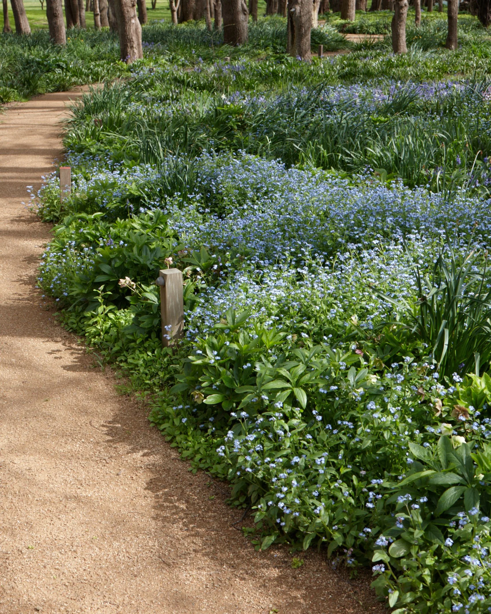 Mona_location_041022_194.jpg